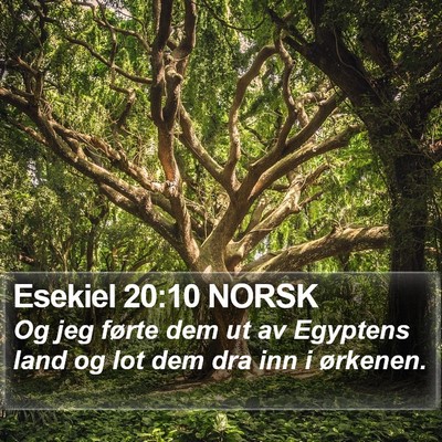 Esekiel 20:10 NORSK Bible Verse Image