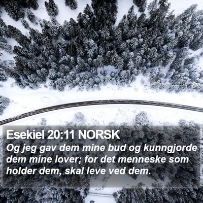 Esekiel 20:11 NORSK Bible Verse Image