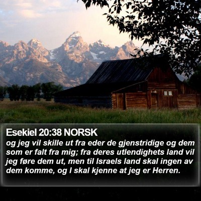 Esekiel 20:38 NORSK Bible Verse Image