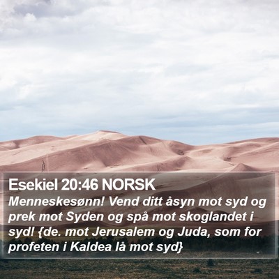Esekiel 20:46 NORSK Bible Verse Image
