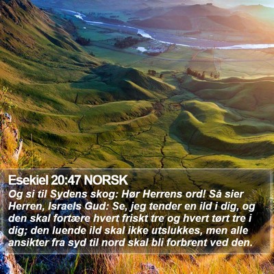 Esekiel 20:47 NORSK Bible Verse Image