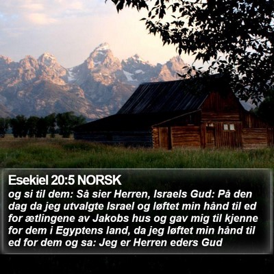Esekiel 20:5 NORSK Bible Verse Image