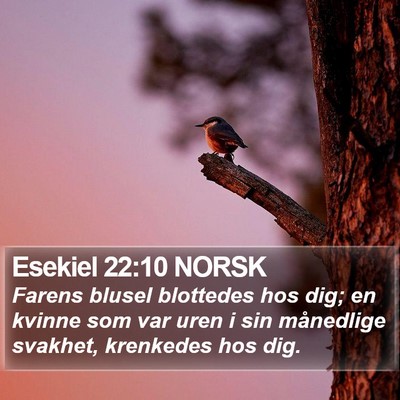 Esekiel 22:10 NORSK Bible Verse Image