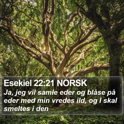Esekiel 22:21 NORSK Bible Verse Image