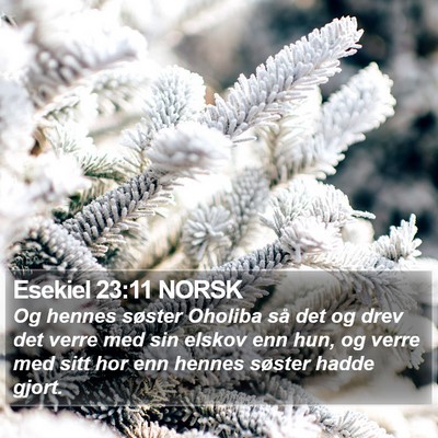 Esekiel 23:11 NORSK Bible Verse Image