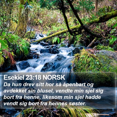 Esekiel 23:18 NORSK Bible Verse Image