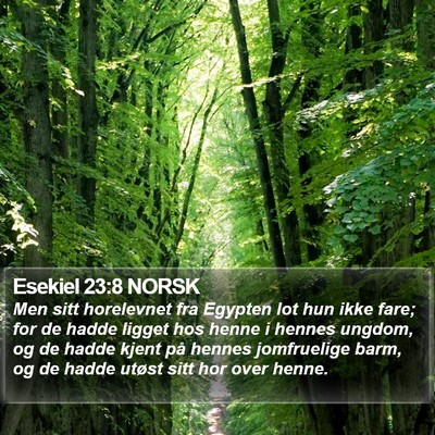 Esekiel 23:8 NORSK Bible Verse Image