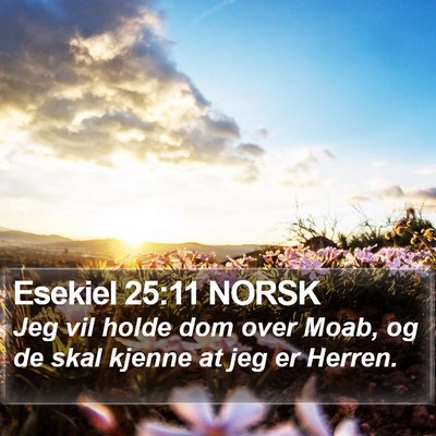 Esekiel 25:11 NORSK Bible Verse Image