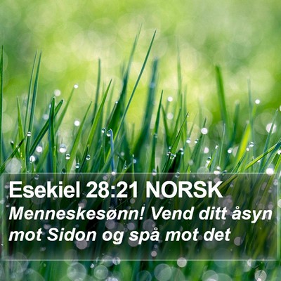 Esekiel 28:21 NORSK Bible Verse Image