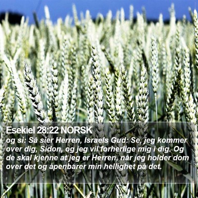 Esekiel 28:22 NORSK Bible Verse Image