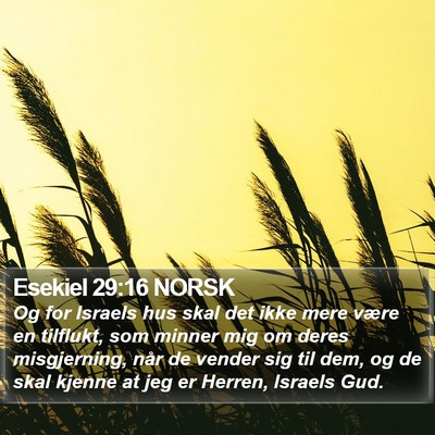 Esekiel 29:16 NORSK Bible Verse Image