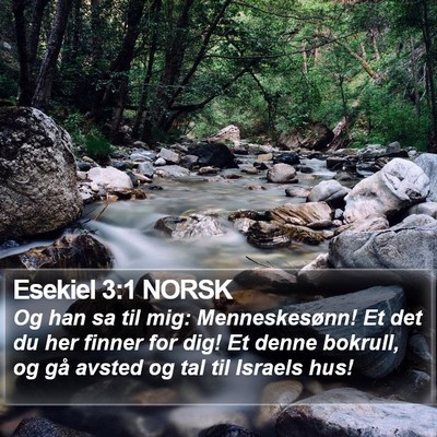 Esekiel 3:1 NORSK Bible Verse Image