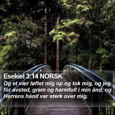 Esekiel 3:14 NORSK Bible Verse Image