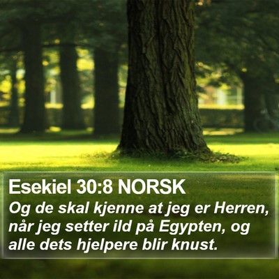 Esekiel 30:8 NORSK Bible Verse Image
