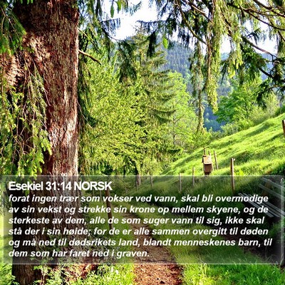 Esekiel 31:14 NORSK Bible Verse Image