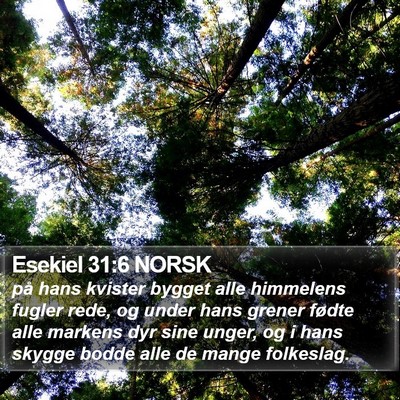 Esekiel 31:6 NORSK Bible Verse Image