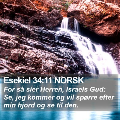 Esekiel 34:11 NORSK Bible Verse Image