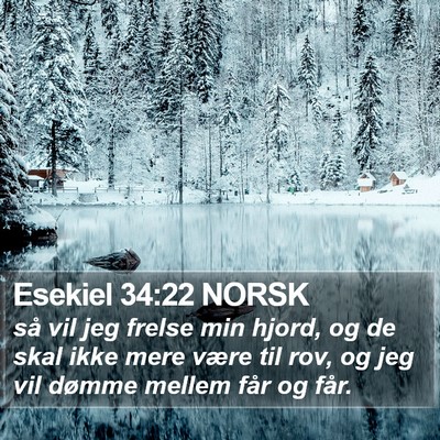 Esekiel 34:22 NORSK Bible Verse Image