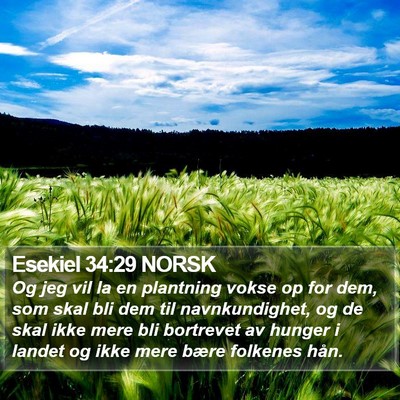Esekiel 34:29 NORSK Bible Verse Image