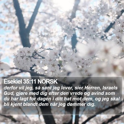 Esekiel 35:11 NORSK Bible Verse Image