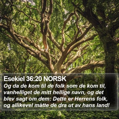 Esekiel 36:20 NORSK Bible Verse Image