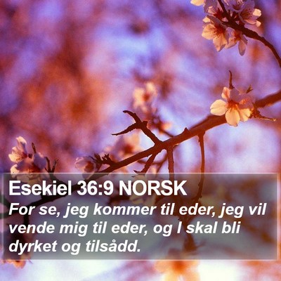 Esekiel 36:9 NORSK Bible Verse Image