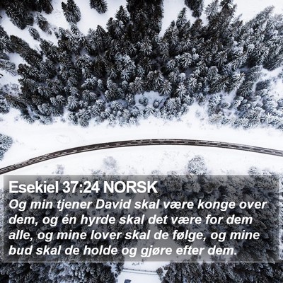 Esekiel 37:24 NORSK Bible Verse Image