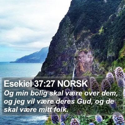 Esekiel 37:27 NORSK Bible Verse Image