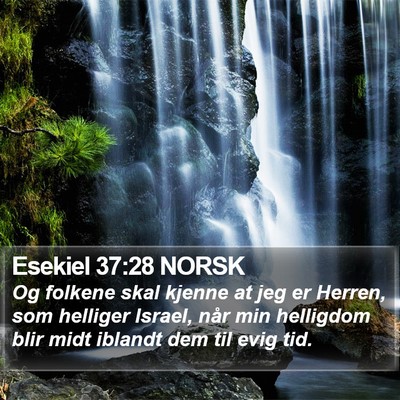 Esekiel 37:28 NORSK Bible Verse Image