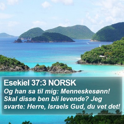Esekiel 37:3 NORSK Bible Verse Image
