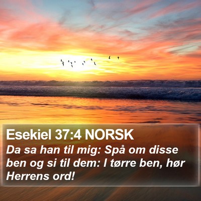 Esekiel 37:4 NORSK Bible Verse Image