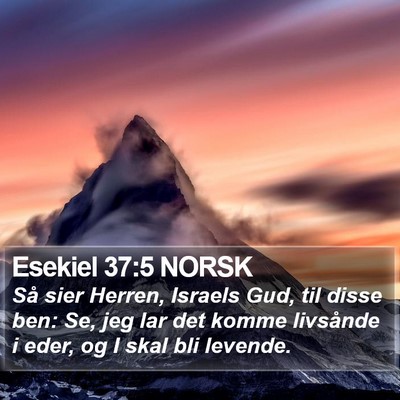 Esekiel 37:5 NORSK Bible Verse Image