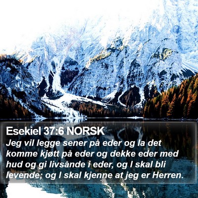 Esekiel 37:6 NORSK Bible Verse Image