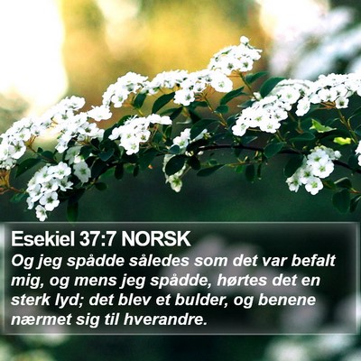 Esekiel 37:7 NORSK Bible Verse Image