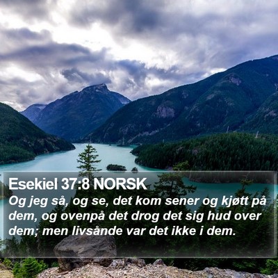 Esekiel 37:8 NORSK Bible Verse Image