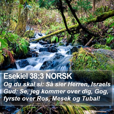 Esekiel 38:3 NORSK Bible Verse Image
