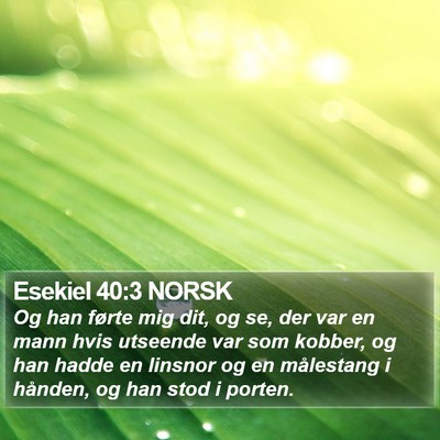 Esekiel 40:3 NORSK Bible Verse Image