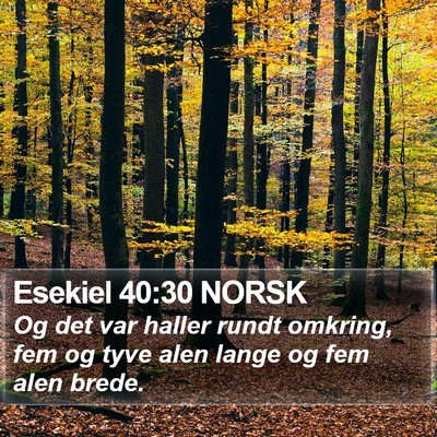 Esekiel 40:30 NORSK Bible Verse Image