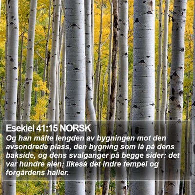 Esekiel 41:15 NORSK Bible Verse Image
