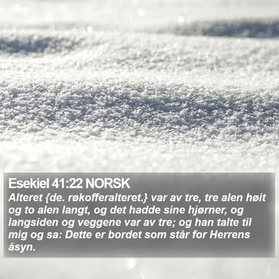 Esekiel 41:22 NORSK Bible Verse Image