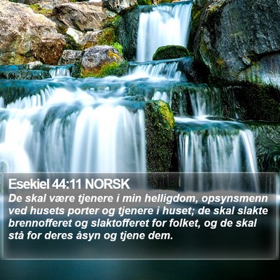 Esekiel 44:11 NORSK Bible Verse Image