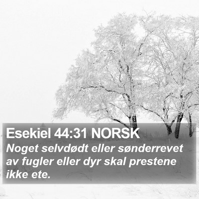 Esekiel 44:31 NORSK Bible Verse Image