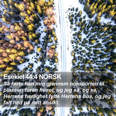 Esekiel 44:4 NORSK Bible Verse Image