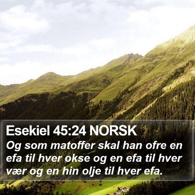 Esekiel 45:24 NORSK Bible Verse Image