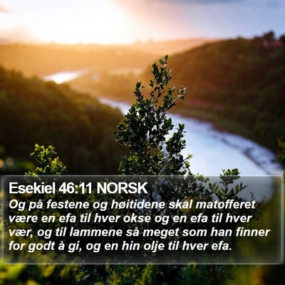 Esekiel 46:11 NORSK Bible Verse Image