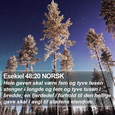 Esekiel 48:20 NORSK Bible Verse Image