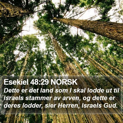 Esekiel 48:29 NORSK Bible Verse Image