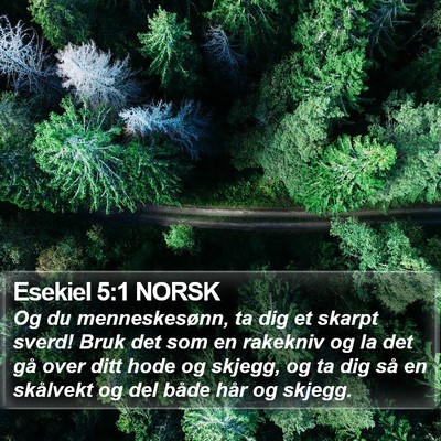 Esekiel 5:1 NORSK Bible Verse Image