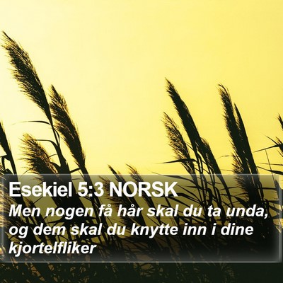 Esekiel 5:3 NORSK Bible Verse Image