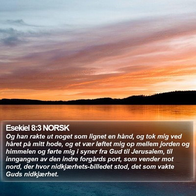 Esekiel 8:3 NORSK Bible Verse Image
